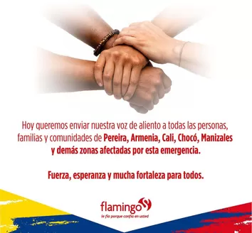 Catálogo Flamingo | Excelente oferta para todos los clientes | 2026-08-12T00:00:00.000Z - 2026-08-26T00:00:00.000Z