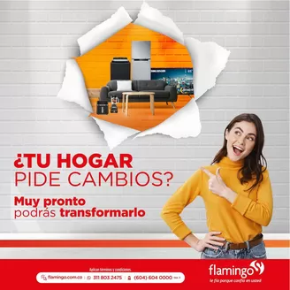 Catálogo Flamingo | Ofertas y promociones actuales | 2026-08-28T00:00:00.000Z - 2026-09-11T00:00:00.000Z