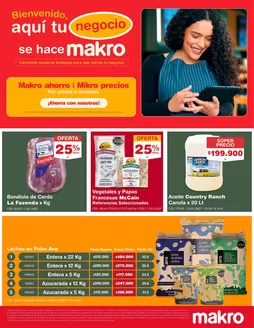 Catálogo Makro | Tu Negocio se hace Makro | 2026-08-31T00:00:00.000Z - 2026-09-04T00:00:00.000Z