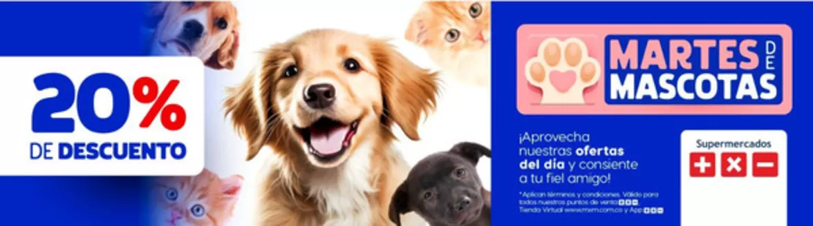 Catálogo Más x Menos | Ofertas principales y descuentos | 2026-09-01T00:00:00.000Z - 2026-09-15T00:00:00.000Z