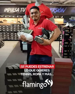 Catálogo Flamingo | Nuestras mejores ofertas para ti | 2026-09-15T00:00:00.000Z - 2026-09-29T00:00:00.000Z