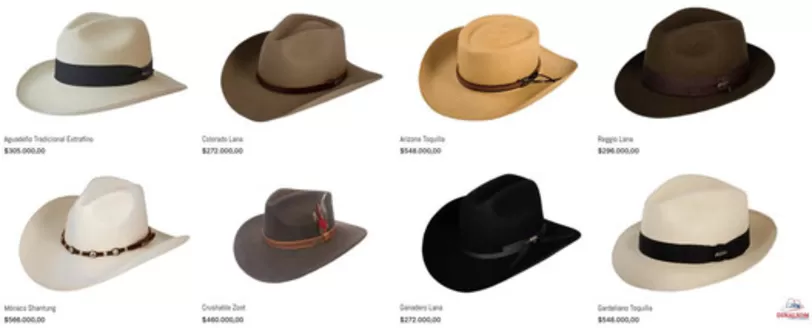 Catálogo Distribuidora Nacional de Sombreros | Elige tu favorito | 2026-09-17T00:00:00.000Z - 2026-09-30T00:00:00.000Z