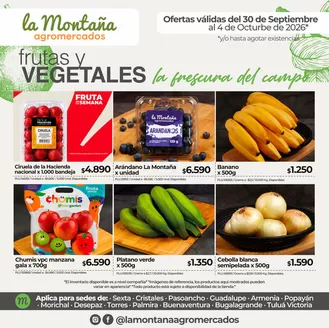 Catálogo La Montaña agromercados | Aprovecha descuentos y precios especiales en una gran variedad de productos tu hogar | 2026-09-30T00:00:00.000Z - 2026-10-04T00:00:00.000Z