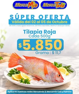 Catálogo MercaTodo | Ahorra ahora con nuestras ofertas | 2026-10-02T00:00:00.000Z - 2026-10-05T00:00:00.000Z