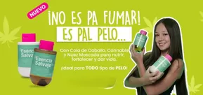 Catálogo Fruto Salvaje en Santa Marta | Nuevo Producto | 2025-07-01T00:00:00.000Z - 2025-07-31T00:00:00.000Z