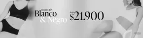 Catálogo Lili Pink en Popayán | Precios Especiales | 2025-07-02T00:00:00.000Z - 2025-07-18T00:00:00.000Z