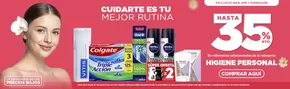 Catálogo Cruz verde en Palmira | Gangas y ofertas actuales | 2025-07-30T00:00:00.000Z - 2025-08-05T00:00:00.000Z
