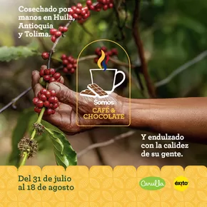 Catálogo Carulla en Cartago | Promociones | 2025-08-04T00:00:00.000Z - 2025-08-18T00:00:00.000Z