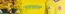 Catálogo Planeta Sport | La camiseta de Colombia del Mundial ya está disponible | 2026-06-18T00:00:00.000Z - 2026-07-31T00:00:00.000Z