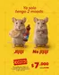 Catálogo Oxxo en Cúcuta | Ofertas Oxxo | 2026-07-23T00:00:00.000Z - 2026-08-06T00:00:00.000Z