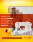 Catálogo Flamingo | Ofertas Flamingo | 2026-07-28T00:00:00.000Z - 2026-08-11T00:00:00.000Z