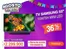 Catálogo Alkosto en Sabana de Torres | Gran variedad de ofertas | 2026-08-01T00:00:00.000Z - 2026-08-31T00:00:00.000Z