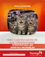 Catálogo Flamingo | Ofertas Flamingo | 2026-09-15T00:00:00.000Z - 2026-09-29T00:00:00.000Z