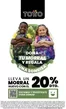 Catálogo Totto en El Playón | Ofertas y promociones actuales | 2026-09-01T00:00:00.000Z - 2027-08-31T00:00:00.000Z
