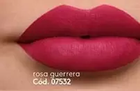 Rosa - rosa guerrera Cód. 07532