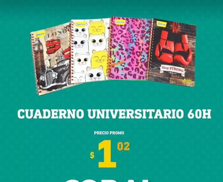 CUADERNO UNIVERSITARIO 60H