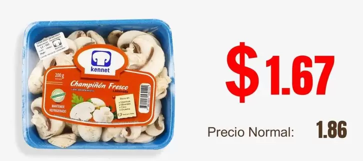 Champiñon Fresco