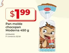 Pan molde chocopan