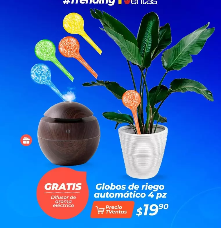Globos de riego automático 4 pz