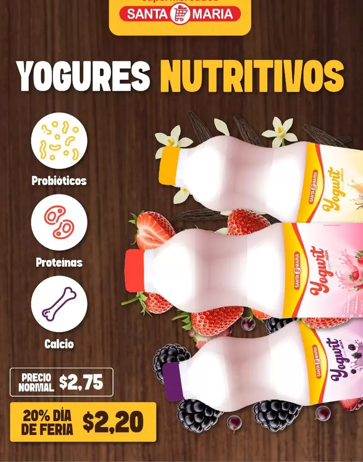 Santa Maria - YOGURES NUTRITIVOS