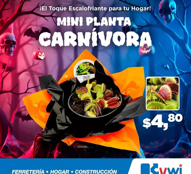 Planta - MINI PLANTA CARNIVORA