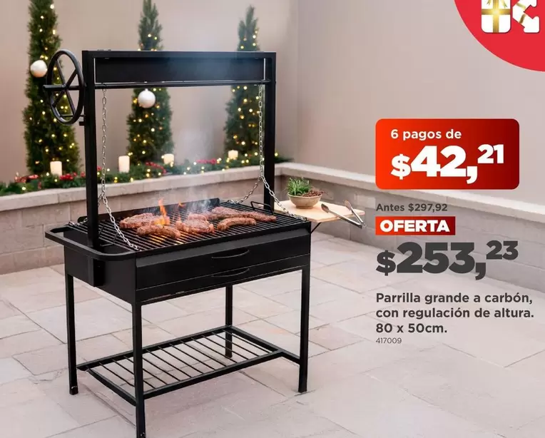 Parrilla grande a carbón