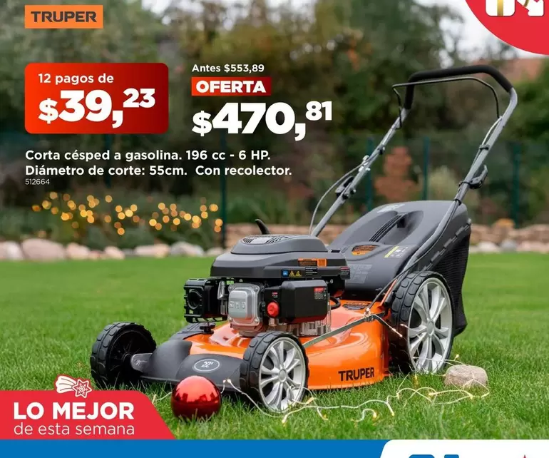 HP - Corta césped a gasolina. 196 cc - 6 .