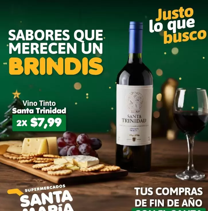 Vino Tinto Santa Trinidad
