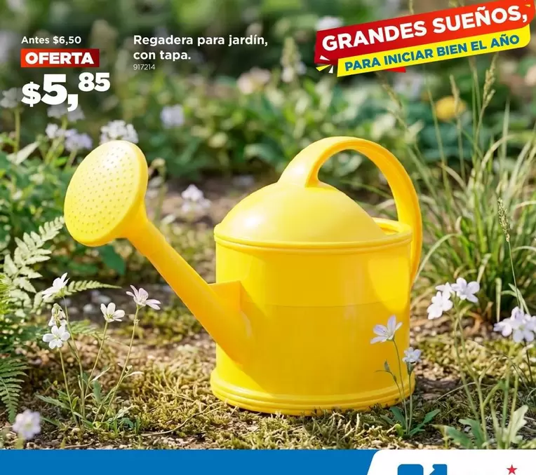 Regadera para jardin, con tapa.