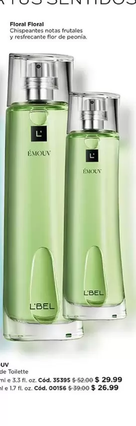 Flor - Colonia Hombre