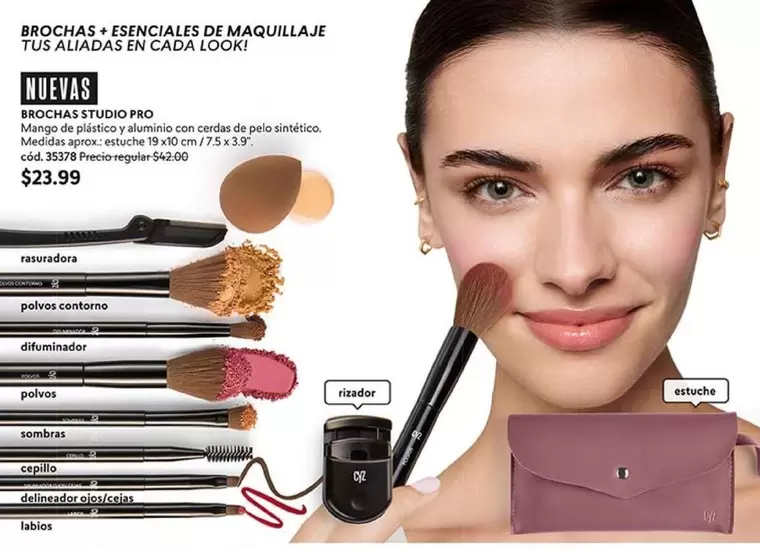 Pro - BROCHAS STUDIO PRO