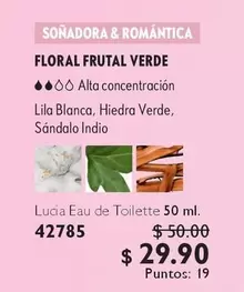 Verde - Eau de Toilette 50 ml. 42785