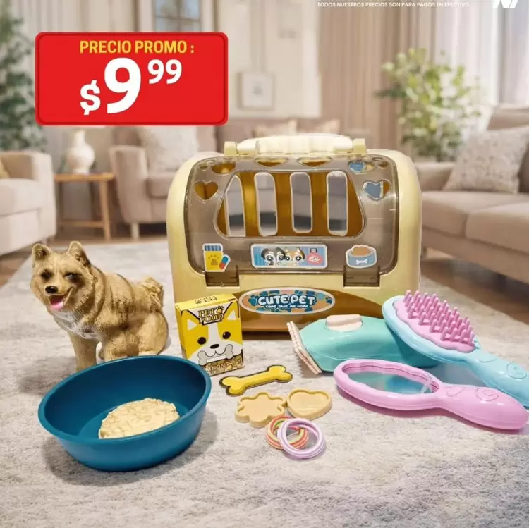 Pet Toy Set