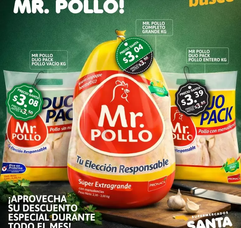 MR POLLO