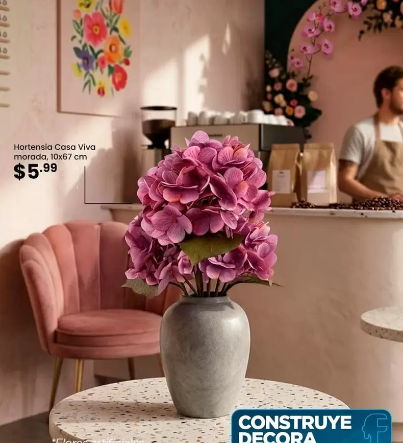 Hortensia Casa Viva morada