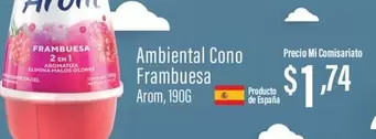 España - Ambiental Cono Frambuesa