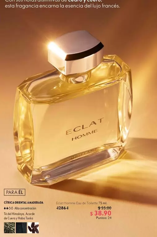 Eclat Homme Eau de Toilette 75 ml