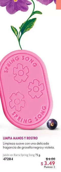 Jabón en Barra Spring Song 75 g 47204