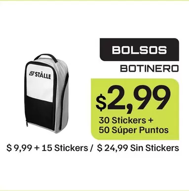 BOLSOS BOTINERO