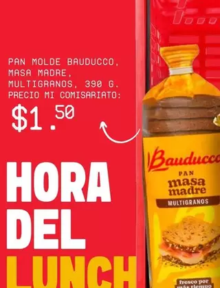 PAN MOLDE MULTIGRANOS