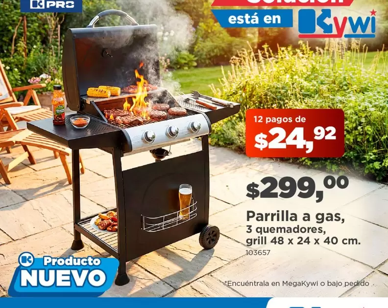 Parrilla a gas, 3 quemadores, grill 48 x 24 x 40 cm.