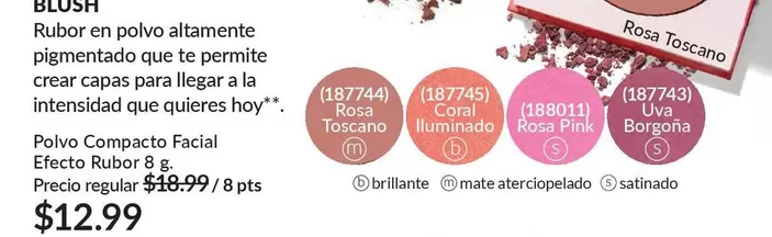 Rosa - Rubor en polvo