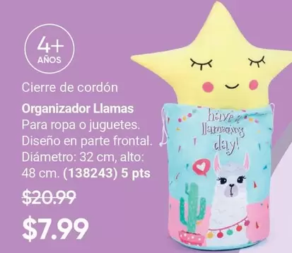 Organizador Llamas (138243)