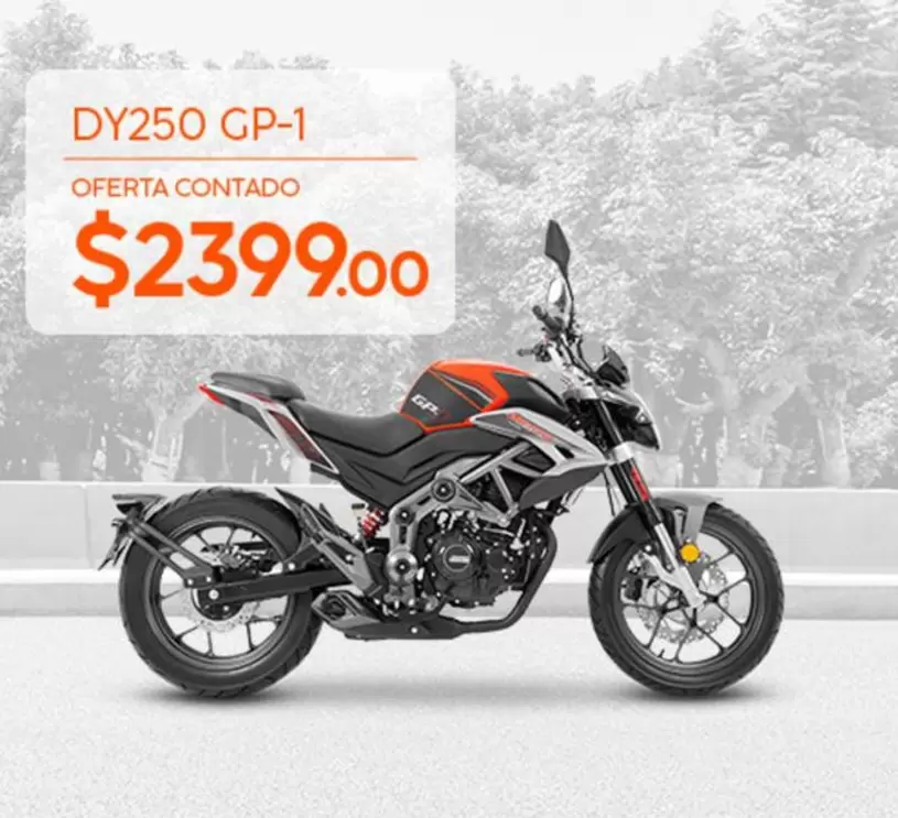 DY250 GP-1