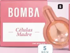 Células Madre