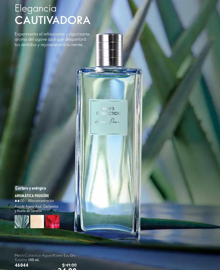 Azul - Elegancia Cautivadora