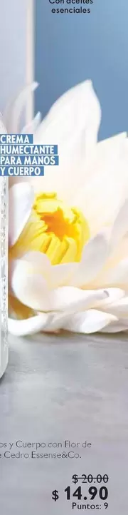 Flor - CREMA HUMECTANTE PARA MANOS Y CUERPO