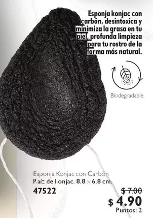 Esponja Konjac con Carbón 47522