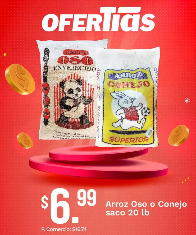 Oso - Arroz o Conejo