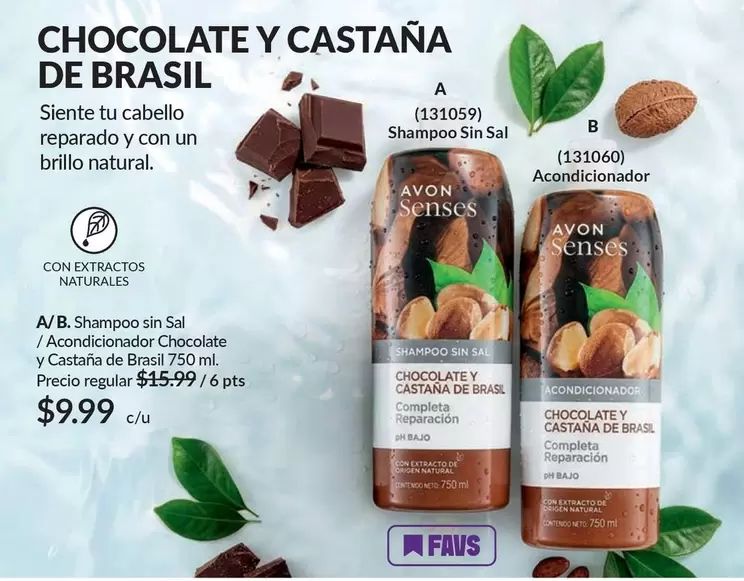 Brasil - Shampoo Sin Sal / Acondicionador Chocolate y Castaña de